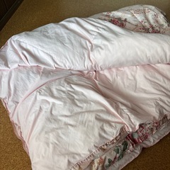 受け渡し予定者決まりました☆掛け布団　マイクロファイバーの画像