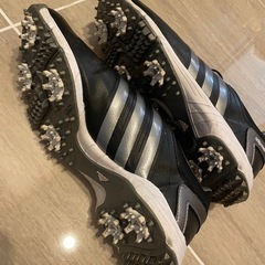 【美品】アディダス　ゴルフシューズ　レディース　23.5cm の画像