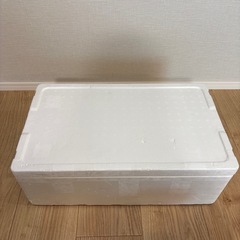 発泡スチロールの箱 内寸約49cmx27cmx15.5cmの画像