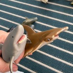 サメ　フィギュア　差し上げます
の画像