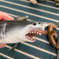 サメ　フィギュア　差し上げます
の画像