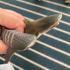 サメ　フィギュア　差し上げます
の画像