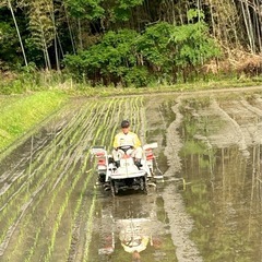 美味しさを追求した「ひのひかり」15kgを精米した白米14.3kgの画像