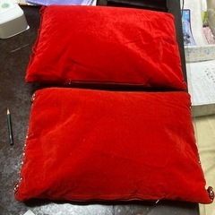 そばガラ枕　蕎麦の画像