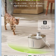 猫　自動給水器　水飲み器の画像