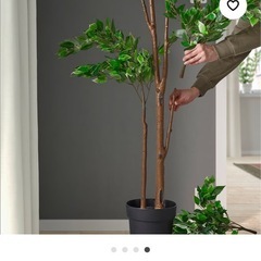 FEJKA フェイカ人工観葉植物　屋外/屋内用ベンジャミンの画像