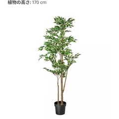 FEJKA フェイカ人工観葉植物　屋外/屋内用ベンジャミン