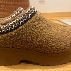 ボアスリッポンの画像