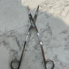 水槽タンク水生植物トングはさみ3本セット 🚚自社配送時💳代引き可🚚(現金、クレジット、スマホ決済対応)の画像