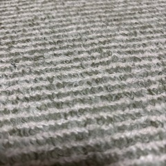 じゅうたんの画像