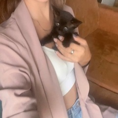 生後1ヶ月半の黒猫メス