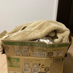 80〜95サイズの画像