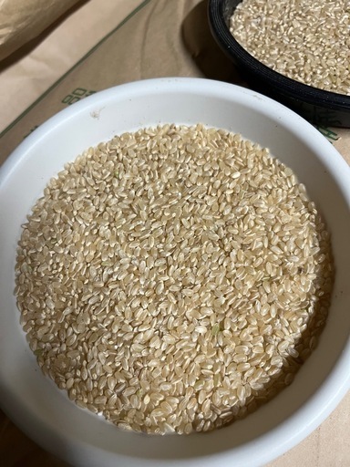 新米コシヒカリ　玄米10kg7,000円
