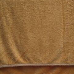 大きめ毛布☆おまけ付きの画像