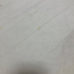 (一部シミ汚れあり)ニトリ ラグの画像