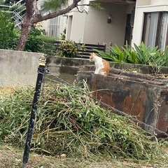 工具のメンテナンス募集中