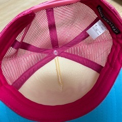 ヒスミニキャップの画像