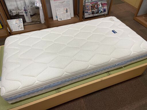 magniflex　オクラホマ（S）　No.202