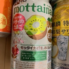 新発売のキリングッドエールビール&サワー計11本の画像