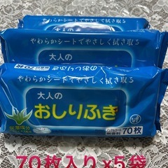 大人用紙おむつLサイズ5
袋120枚とおしり拭きシート5袋の画像