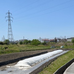 令和7年度　ヒノヒカリ30kg　③　　の画像