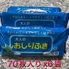 大人用紙おむつパット6袋192枚おしり拭きシート6袋の画像
