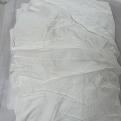 アプリカ　の画像