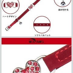 ペット　首輪
の画像