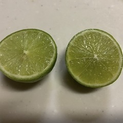ライムの画像