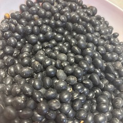 旭川市！引き取り限定！黒豆　黒千石大豆　未選別　訳あり　1kgの画像