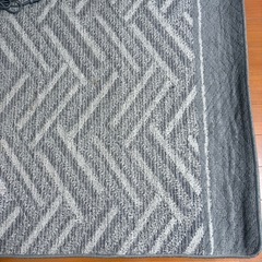 ホットカーペット　一畳用の画像