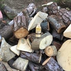 薪🪵未乾燥の画像