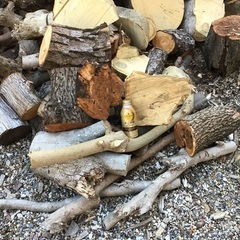 薪🪵未乾燥の画像