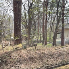 那須バケイションランド別荘地　約120坪　譲ります！