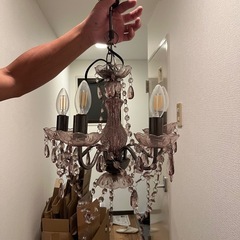 シャンデリア 電気の画像