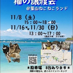 神奈川県内最大級！予約不要。可愛い子猫モリモリです🐈❤️お…