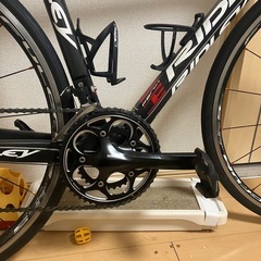 リドレーの画像