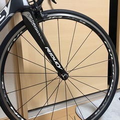 リドレーの画像