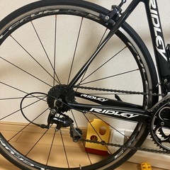 リドレーの画像