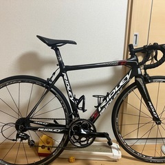 リドレーの画像