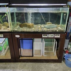 90センチ水槽の画像