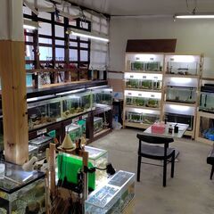 90センチ水槽の画像