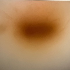 ほんだな本棚の画像