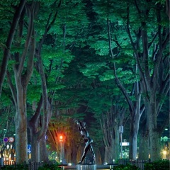１１月夜ウォーキング会🚶 - 仙台市