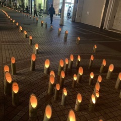 １１月夜ウォーキング会🚶 - 友達