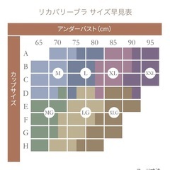 リカバリーブラ　XLG レイネイビーの画像