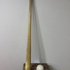 決まりました　野球グローブ大人用(子供用グローブ・バット付き)の画像