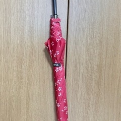 Waterfront　長傘 の画像