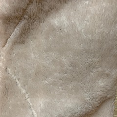 猫用ハンモックの画像