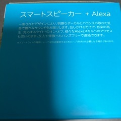 echo    dot新品未使用品の画像